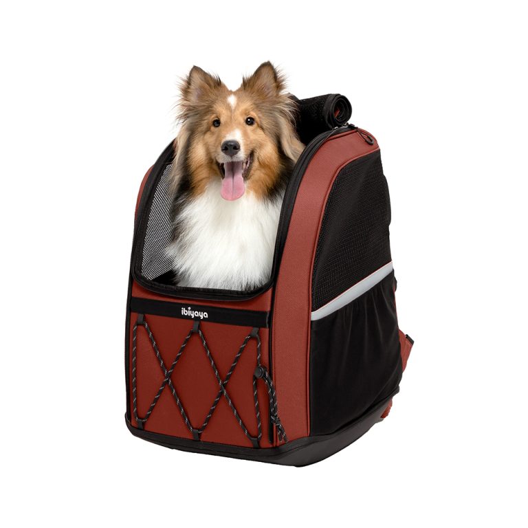 Ibiyaya Champion Large Dog Carrier Backpack for cat or dog