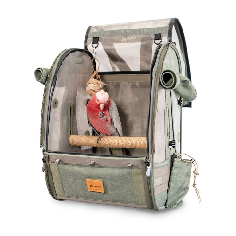 Ibiyaya Medium Trackpack for Birds with perch